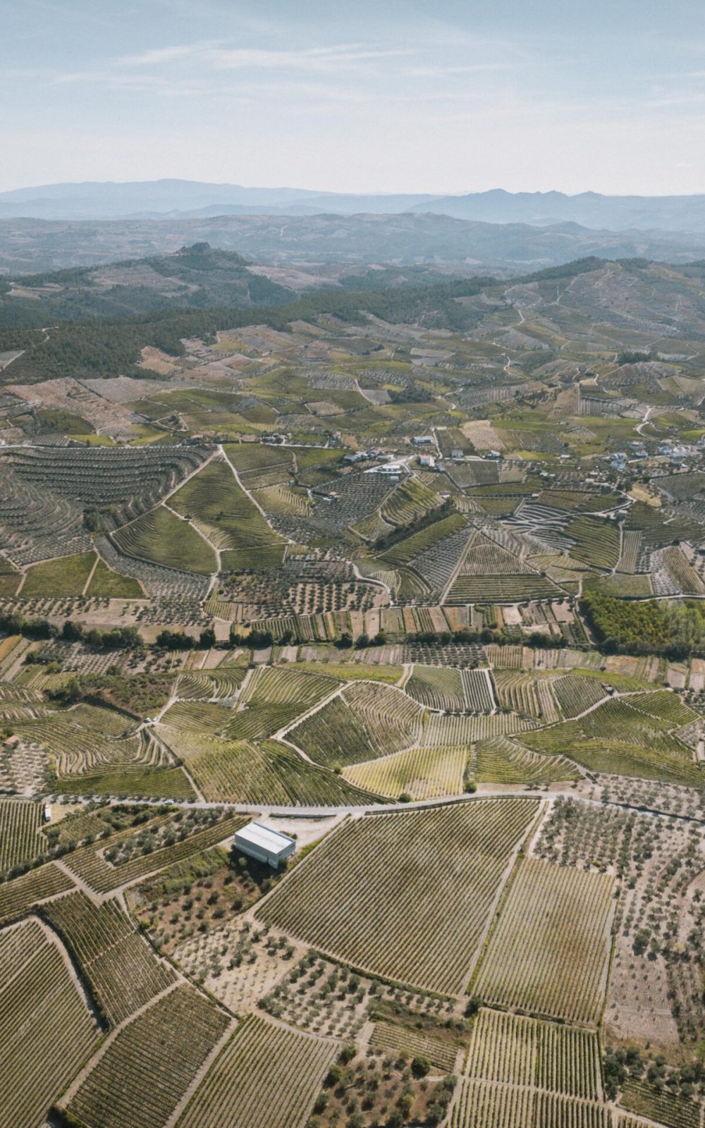 Caves de Murça_117-min