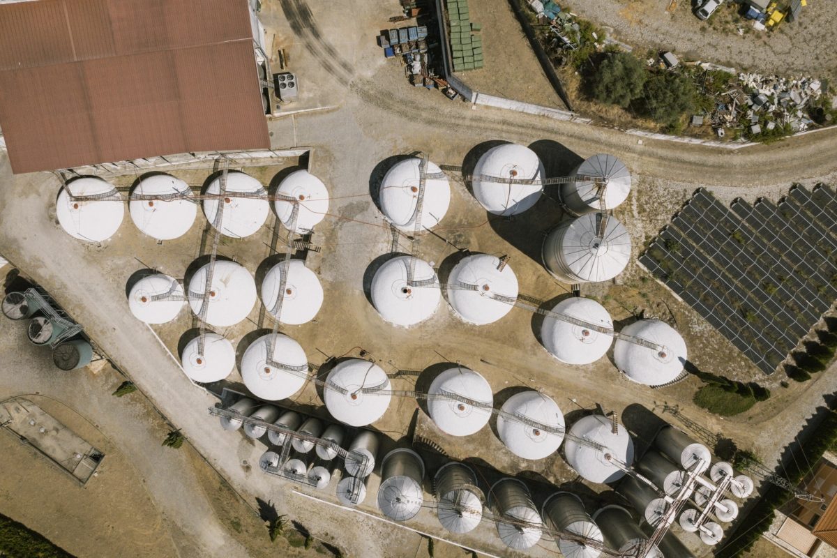 Caves de Murça_3-min