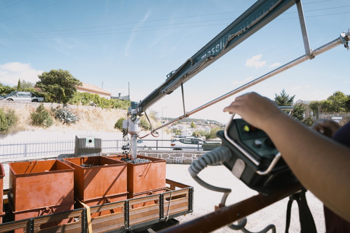 Caves de Murça_30-min