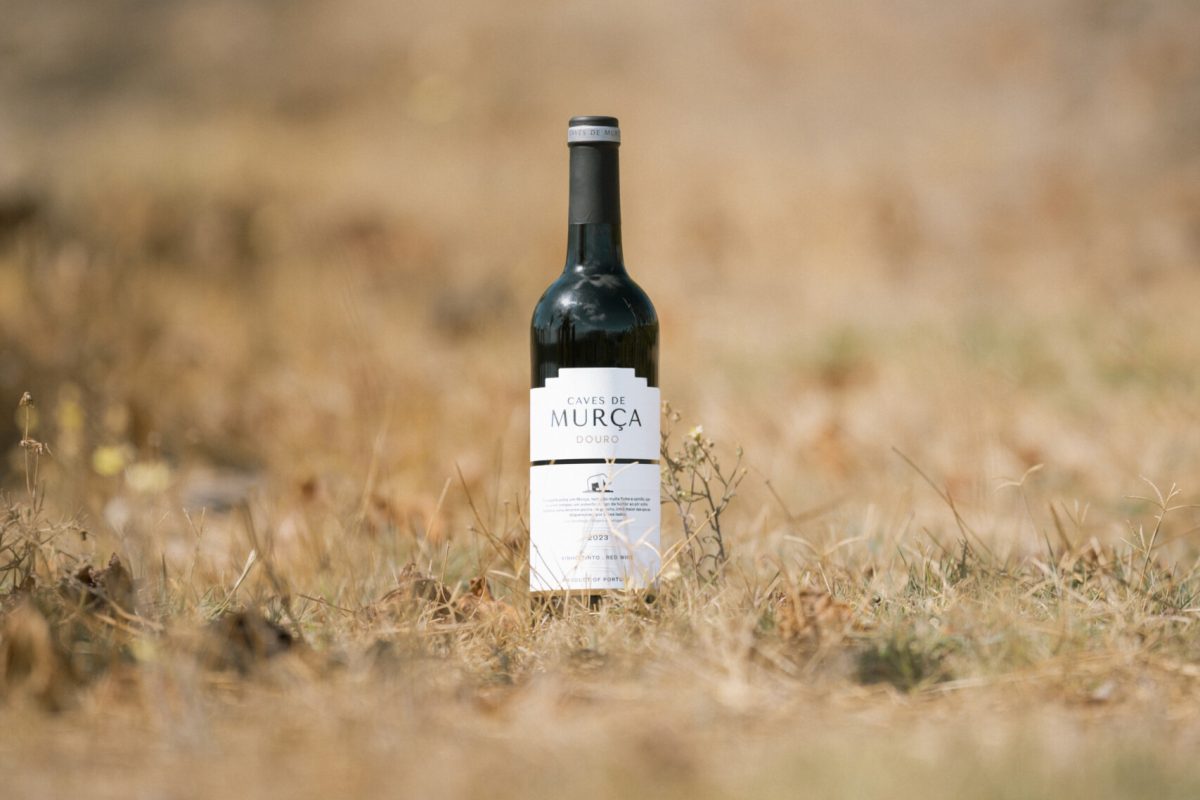 Caves de Murça_69